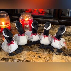 🪿 TY Beanie Babies Loosy Goose Lot of 5 Vintage 1998 Plush